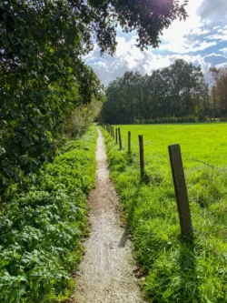 Vlasrotersroute