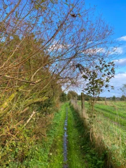 Vlasrotersroute