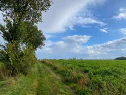 Vlasrotersroute