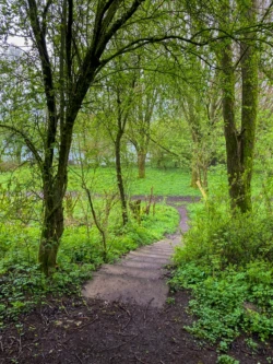 Vogelkijkhut Moringerwaarden