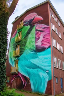 Streetart Amsterdam