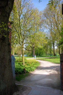Wandelroute in het Westerpark