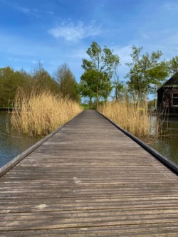 Wandelroute in het Westerpark