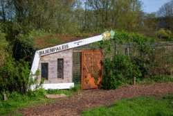 Wandelroute in het Westerpark