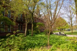 Wandelroute in het Westerpark