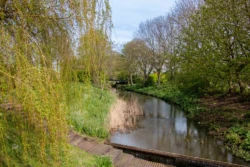 Wandelroute in het Westerpark
