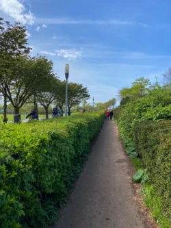 Wandelroute in het Westerpark