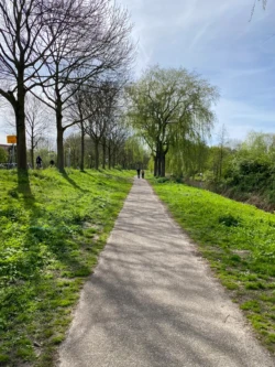 Wandelroute in het Westerpark
