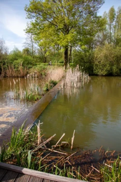 Wandelroute in het Westerpark