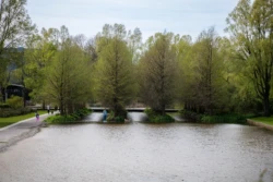 Wandelroute in het Westerpark