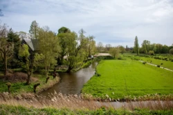 Wandelroute in het Westerpark