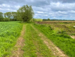 Sint-Antelinks