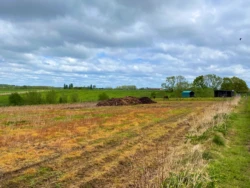 Buysemolenroute