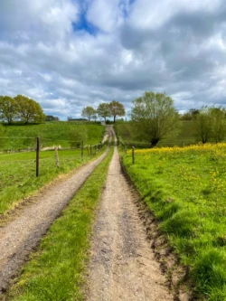 Buysemolenroute