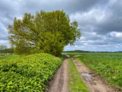 Buysemolenroute