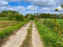 Buysemolenroute