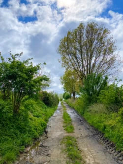Buysemolenroute
