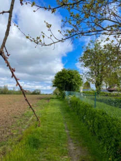 Buysemolenroute