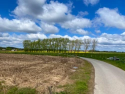 Buysemolenroute