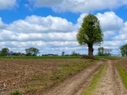 Buysemolenroute
