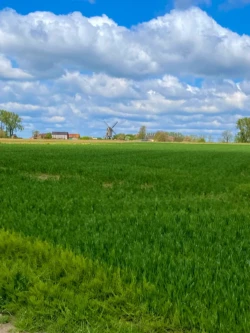 Buysemolenroute