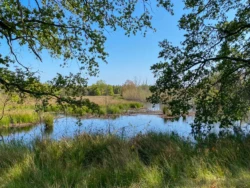 Van Gogh Drenthe fietsroutes