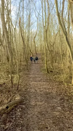 Wandelen in de Panne
