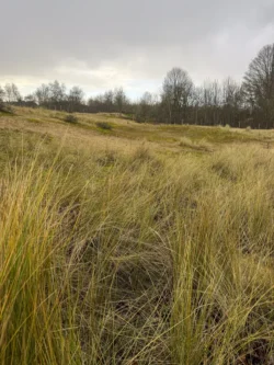 Wandelen in de Panne